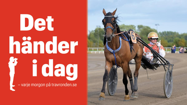 Foto: TR BILD
