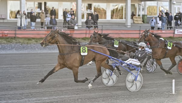 Foto: JENNY REHNMAN / TR BILD