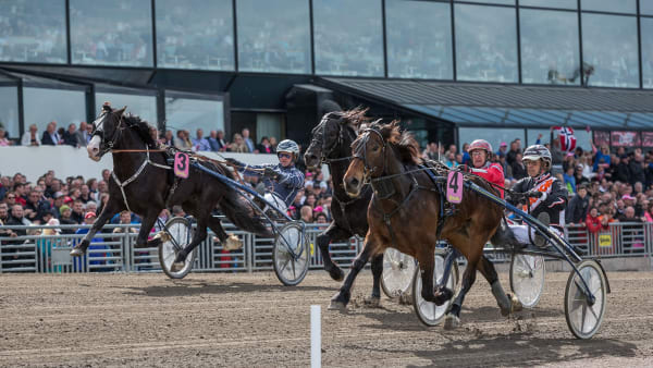 Foto: Eirik Stenhaug, Equus media