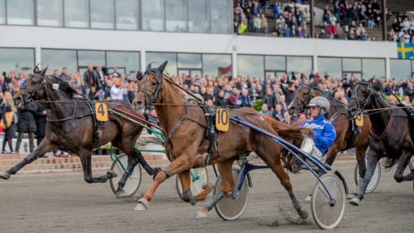 Foto: BURT SEEGER/KANAL75