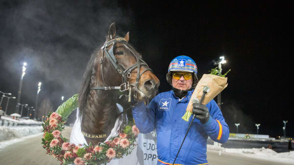 Foto: DAVID SCHREINER / TR BILD