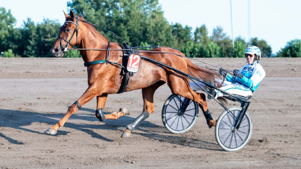 Foto: MIKAEL ROSENQUIST / TR BILD