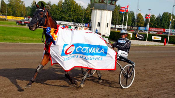 Foto: URBAN KIHLMAN/ALN