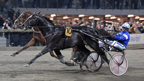 Foto: MALIN ALBINSSON / TR BILD