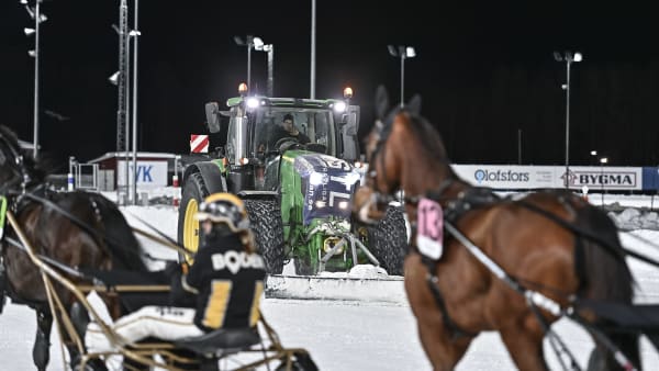 Foto: JENNY REHNMAN / TR BILD