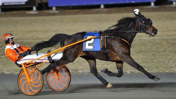 Foto: Simon Hagen/stalltz.se