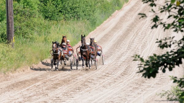Foto: Göran Lindskog/Sidmakarn