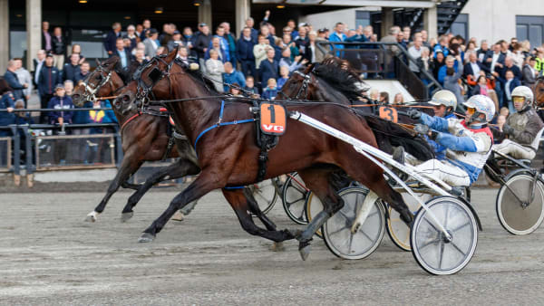 Foto: Terje Andersen, Equus media