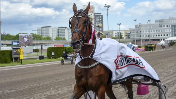 Foto: LARS JAKOBSSON / TR BILD