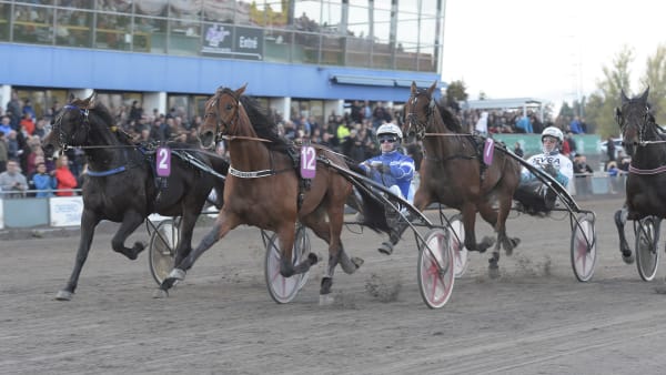 Foto: LARS JAKOBSSON / TR BILD