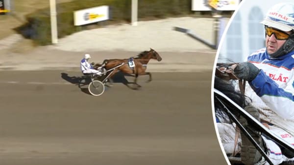 Foto: FÄRJESTADTRAVET/TR BILD