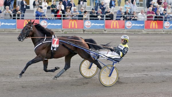 Foto: URBAN KIHLMAN/ALN