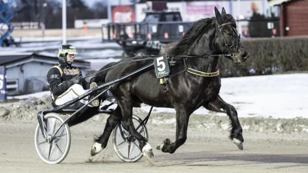 Foto: LENA EMMOTH / TR BILD