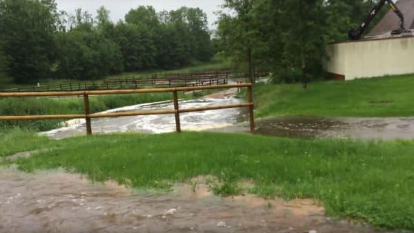 Foto: SKRÄMDUMP FRÅN PARIS TURF PÅ YOUTUBE