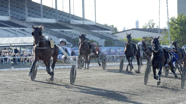 Foto: LARS JAKOBSSON / TR BILD