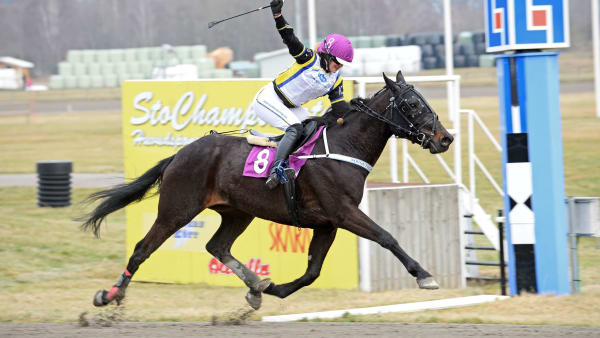 Foto: MALIN ALBINSSON/TR BILD