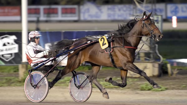 Foto: LARS JAKOBSSON / TR BILD