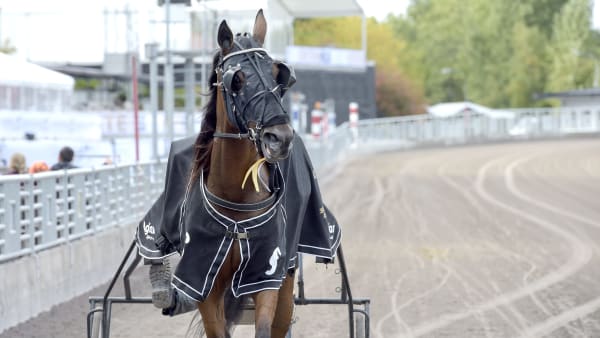 Foto: LARS JAKOBSSON / TR BILD