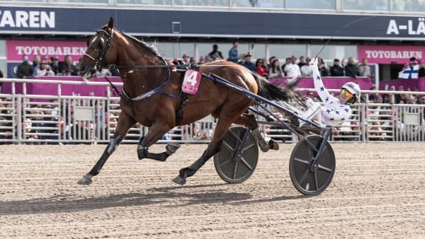 Foto: LENA EMMOTH / TR BILD