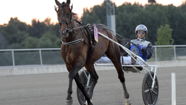 Foto: LARS JAKOBSSON / TR BILD