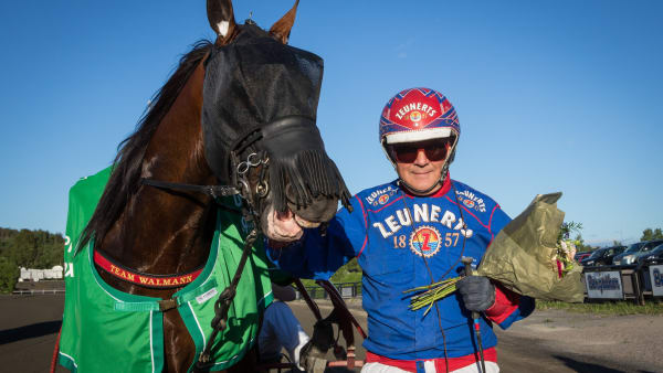 Foto: DAVID SCHREINER / TR BILD