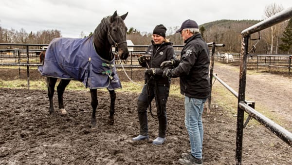 Foto: Svanthe Harström