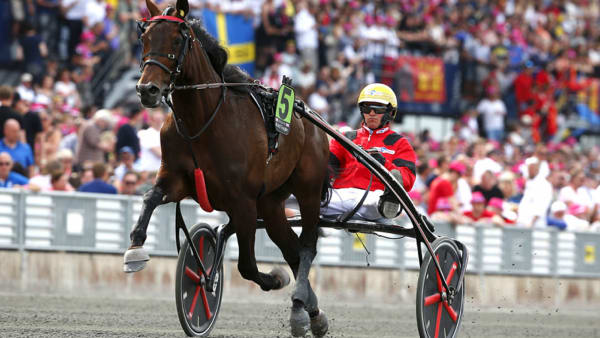 Foto: Micke GUSTAFSSON