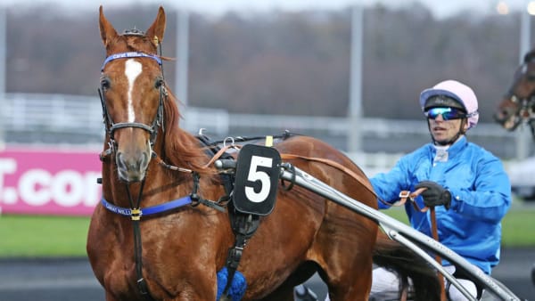 Foto: Matilda Öhrman