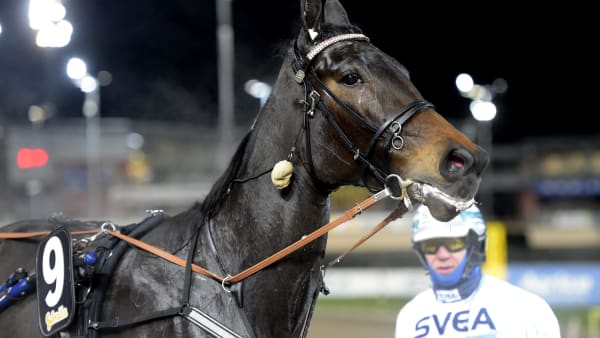 Foto: LARS JAKOBSSON / TR BILD