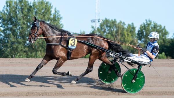 Foto: MIKAEL ROSENQUIST / TR BILD