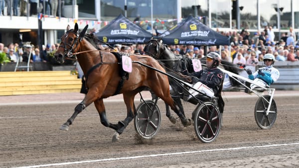 Foto: MALIN ALBINSSON / TR BILD