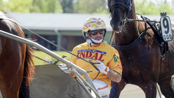 Foto: LARS JAKOBSSON / TR BILD