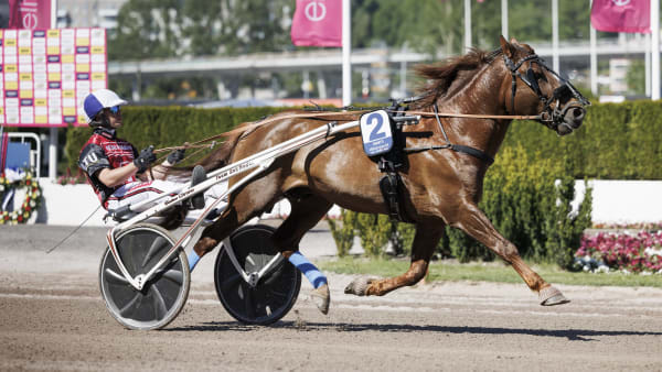 Foto: LENA EMMOTH / TR BILD