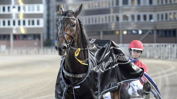 Foto: LARS JAKOBSSON / TR BILD