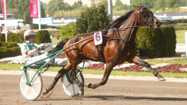 Foto: MICKE GUSTAFSSON/ALN