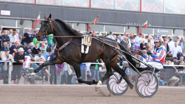 Foto: Mia Törnberg/Travronden