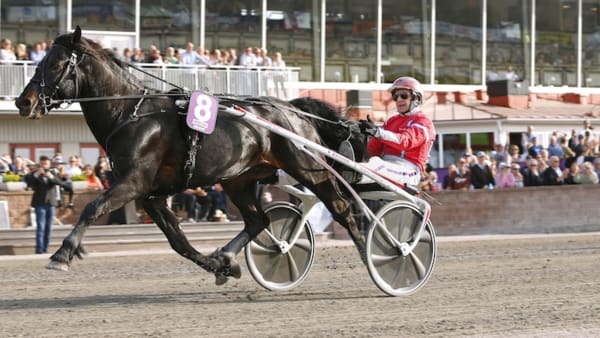 Foto: Maria Holmén/TR Bild