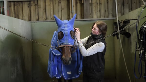 Foto: LARS JAKOBSSON / TR BILD