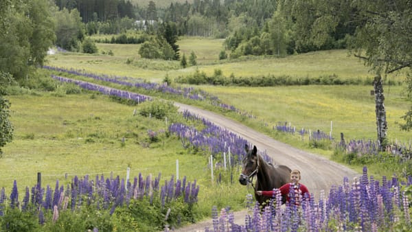 Foto: Thomas Blomqvist