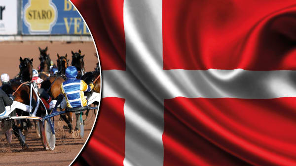 Foto: Montage/TR BILD