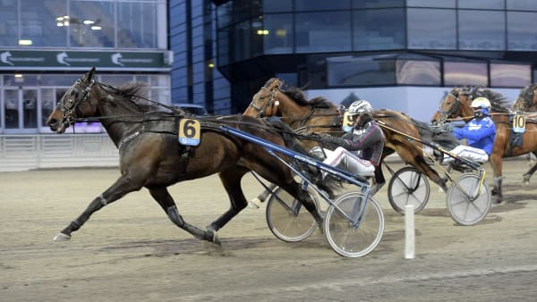 Foto: LARS JAKOBSSON / TR BILD