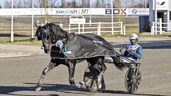 Foto: JENNY REHNMAN / TR BILD