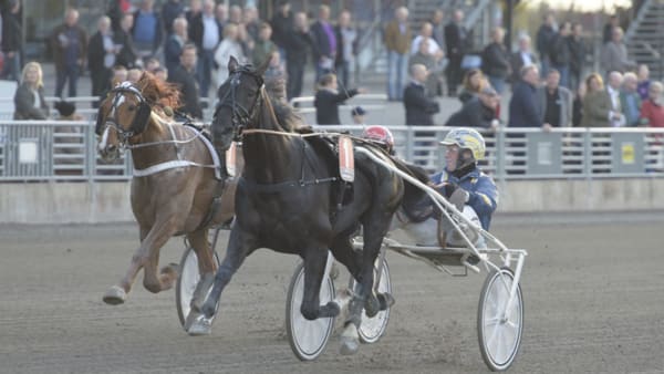 Foto: LEIF NORBERG/ALN