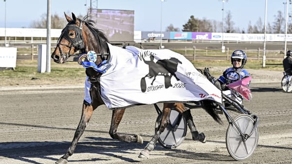 Foto: JENNY REHNMAN / TR BILD