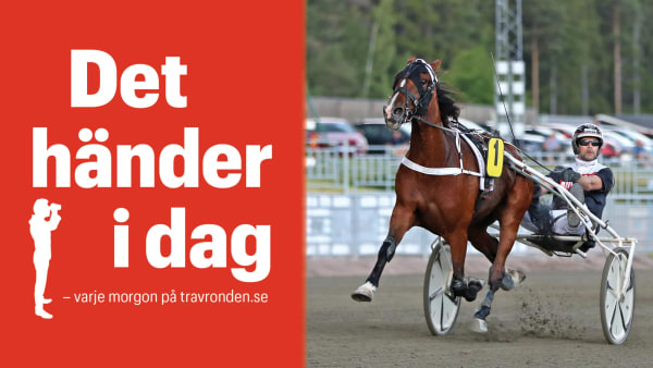Foto: TR BILD