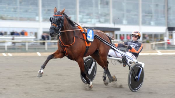 Foto: Jörgen Tufvesson/ALN