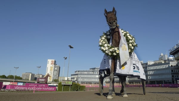 Foto: LARS JAKOBSSON / TR BILD