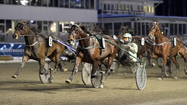 Foto: LARS JAKOBSSON / TR BILD