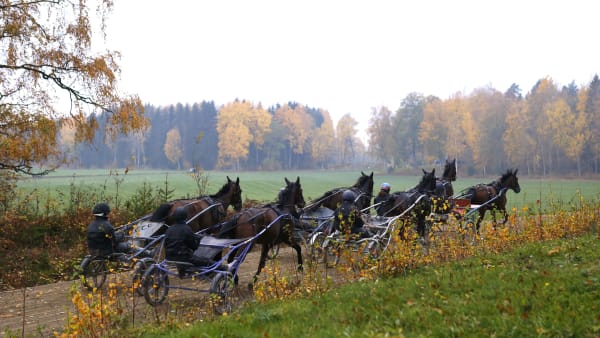 Foto: MARIA HOLMÉN / TR BILD
