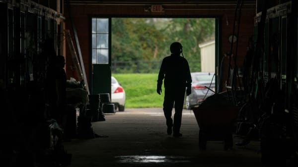 Foto: Thomas Blomqvist/TR Bild